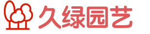 合肥办公室绿植租赁