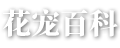 花宠百科