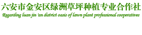 安徽草坪