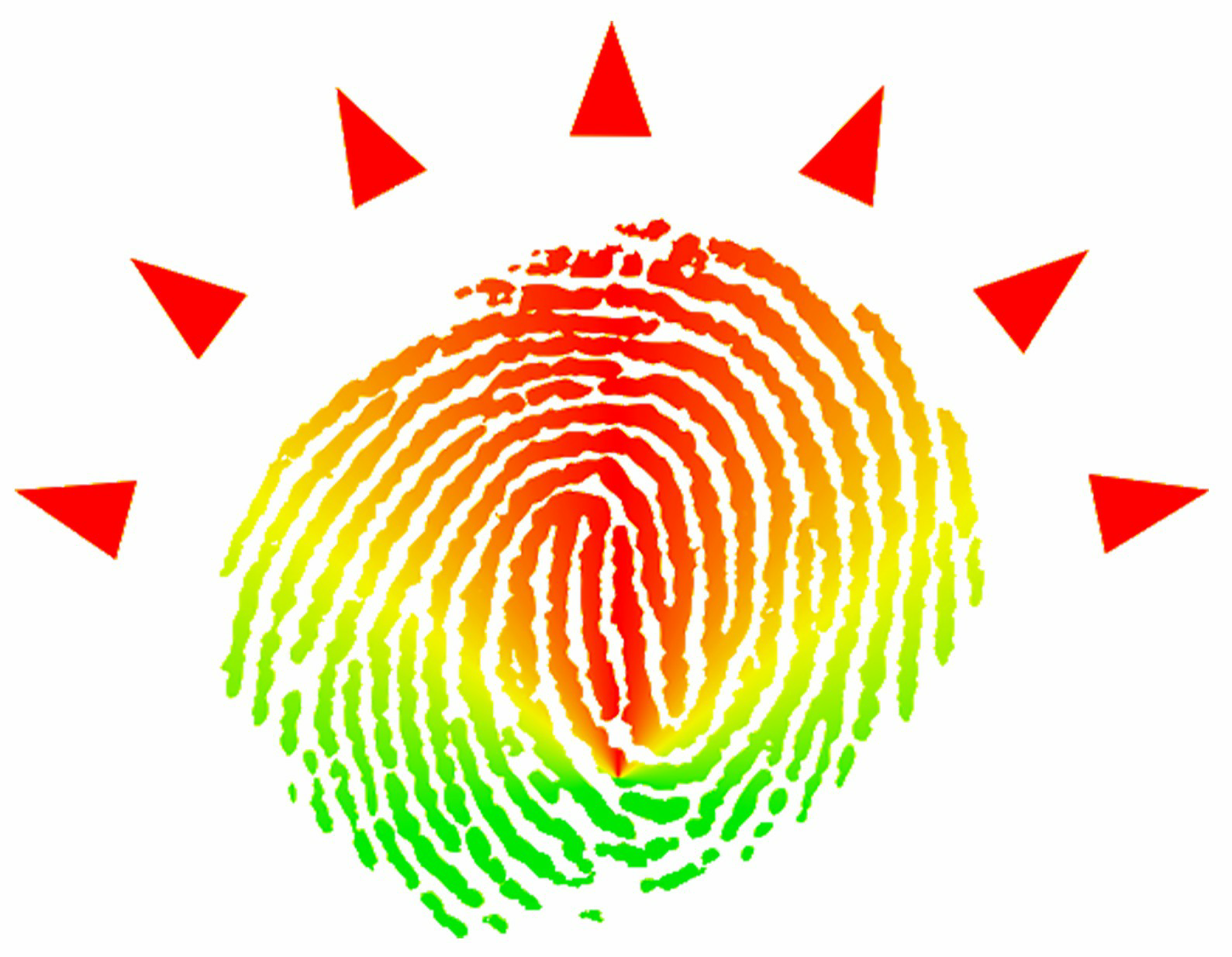 安徽阳光会计师事务所