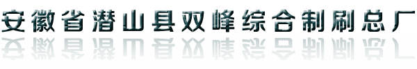 安徽省潜山县双峰综合制刷总厂