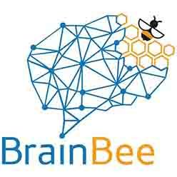 Brain