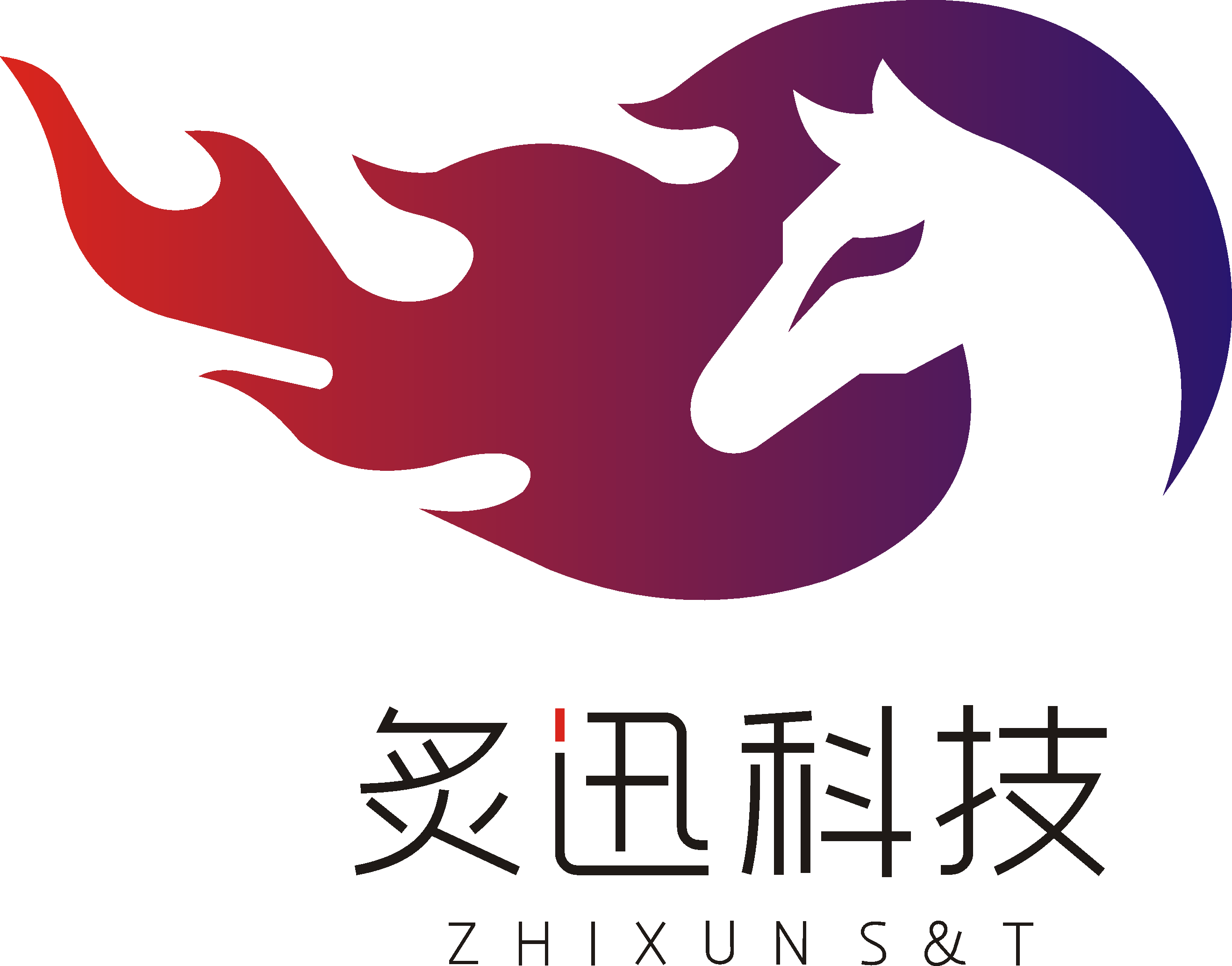 重庆炙迅科技有限公司