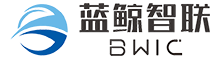 汽车智能系统解决方案商