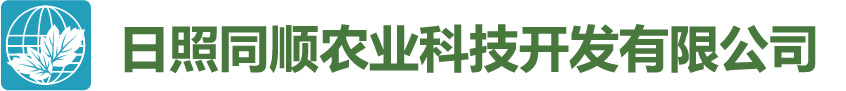 明日叶,明日叶茶,明日叶粉,日照同顺农业科技开发有限公司