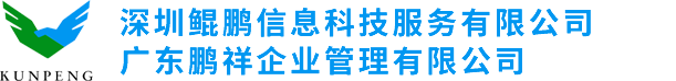 深圳鲲鹏信息科技服务有限公司