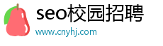 嘉祥seo优化厂家