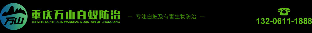 重庆白蚁防治