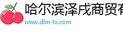 哈尔滨泽戌商贸有限公司