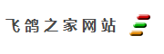 飞鸽之家网站