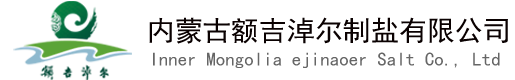 内蒙古额吉淖尔制盐有限公司