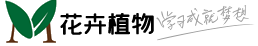 花草植物知识大全