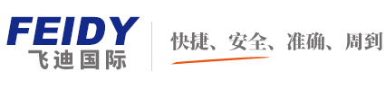 深圳市飞迪国际货运代理有限公司