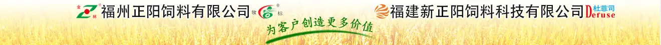 福建新正阳饲料公司