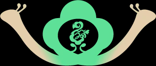 富视安云计算科技（深圳）有限公司