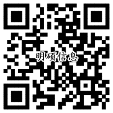 明硕税控接口系统