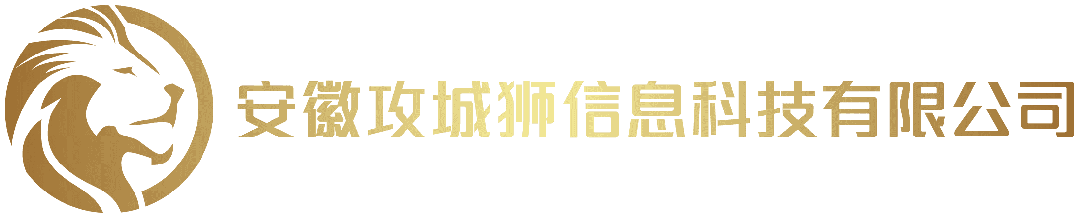 安徽攻城狮信息科技有限公司