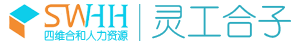 灵工合子系统