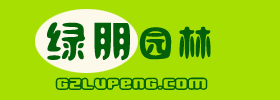 租赁办公室的花木,绿植,植物