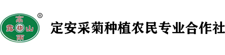 定安采菊种植农民专业合作社