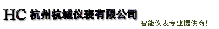 杭州杭城仪表有限公司浙自仪超声波水表