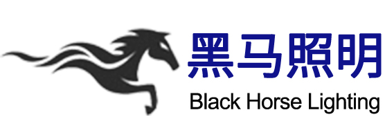 智慧路灯,led路灯,高杆灯,扬州黑马照明有限公司