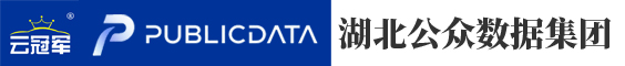 湖北公众数据集团有限公司