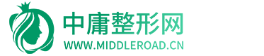 狂飞网