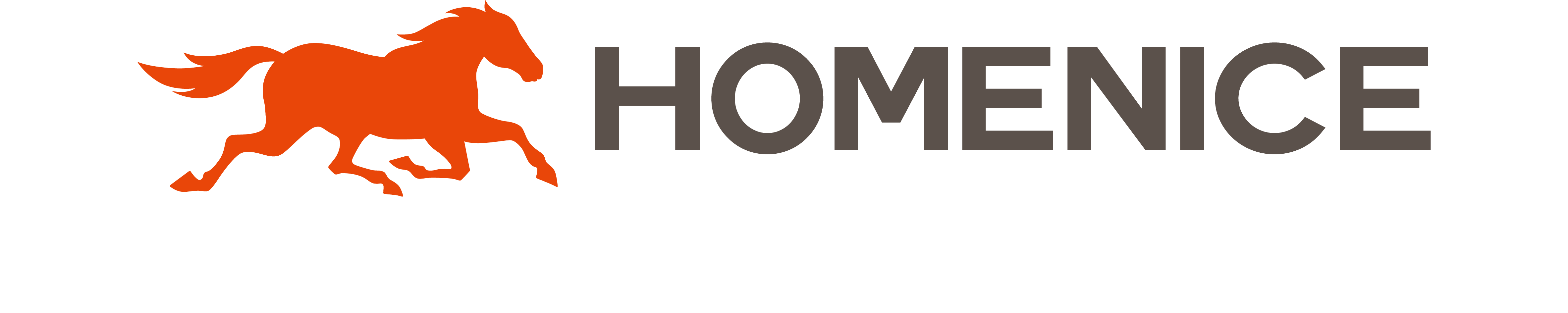 宏耐HOMENICE官网