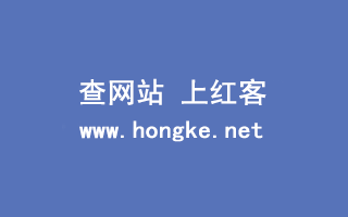 查网站SEO信息