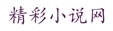 精彩小说网