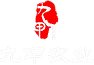 山东九甲农业有限公司