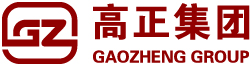 江苏高正健康产业集团有限公司