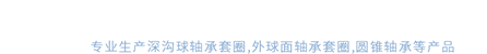 轴承套圈