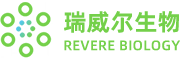 克里唑蒂尼