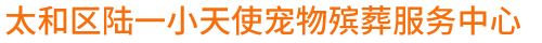 太和区陆一小天使宠物殡葬服务中心