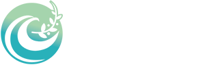 电子膀胱肾盂镜
