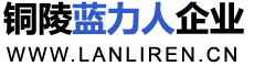 上海人事代理公司,上海劳务公司,铜陵蓝力人企业服务有限公司