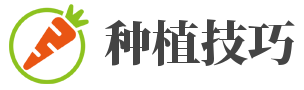 鹰嘴桃苗价格