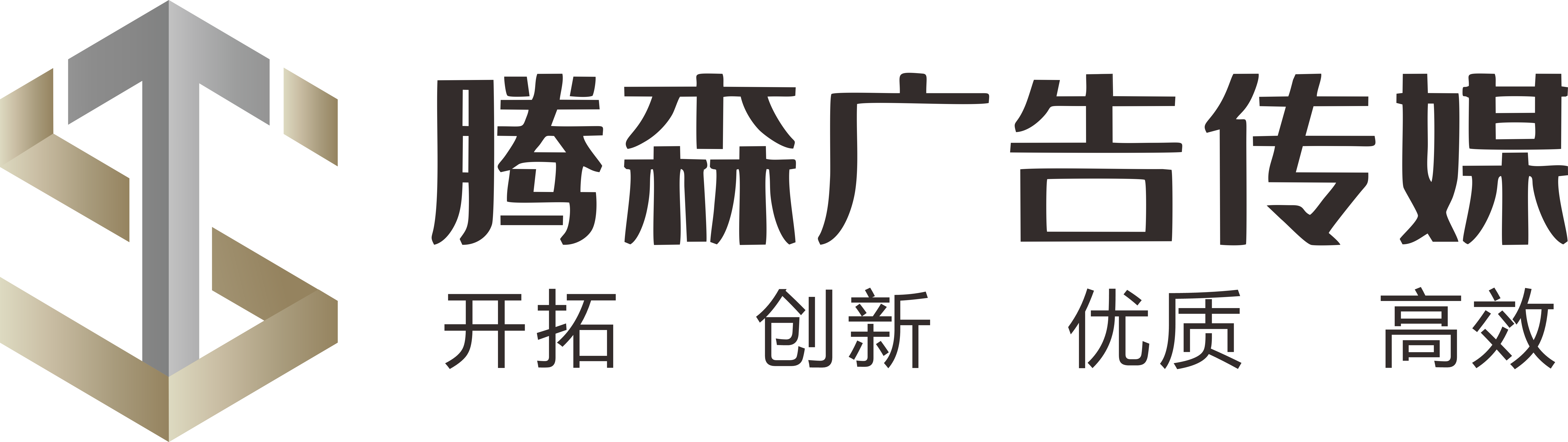 乐山市腾森广告有限公司
