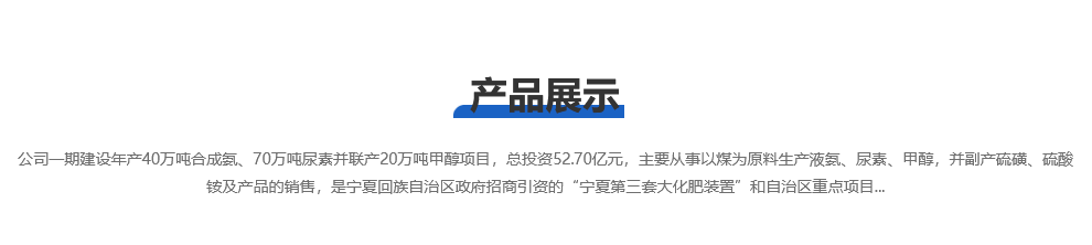 宁夏和宁化学有限公司