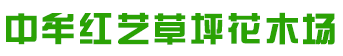 河南草坪