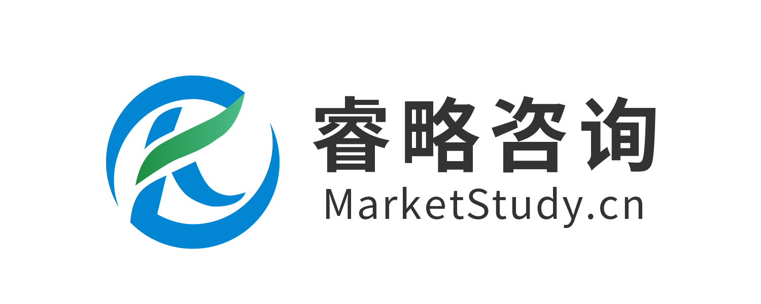 湖南睿略信息咨询