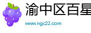渝中区百星网络科技工作室（个体工商户）
