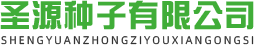 龙麦
