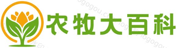 养殖项目,种植项目,畜牧项目,养殖鱼项目,人工饲养项目,繁殖动物项目,动物食品项目