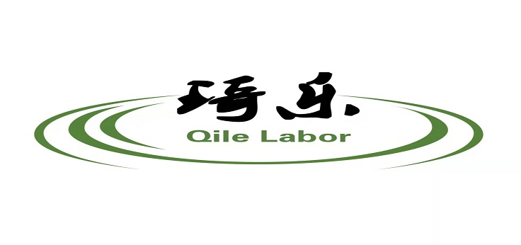 宁夏琦乐人才智慧平台