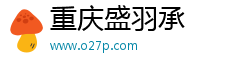 重庆盛羽承科技有限公司