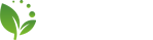 粤联国际快递