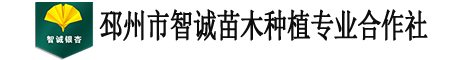 邳州市智诚苗木种植专业合作社
